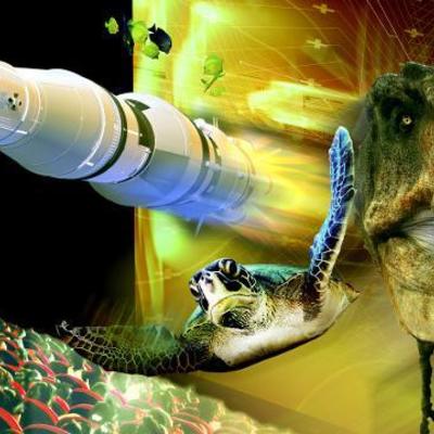 Timeline: La evoluciòn del cine 3D