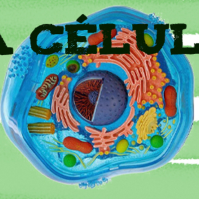 Timeline: EVOLUCIÓN DE LA CÉLULA