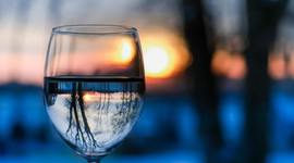 Timeline: World History of Humanity