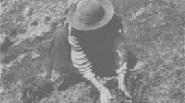 Timeline: Línea de tiempo en la historia de las Compañías Bananeras en Honduras