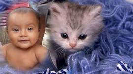 Timeline: linea de tiempo de  Angie Pinedo