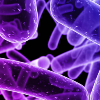 Timeline: Microbiologia