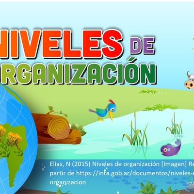 Timeline: Organización ecológica