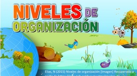 Timeline: Organización ecológica