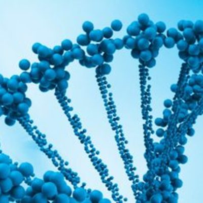 Timeline: Historia de la biología molecular