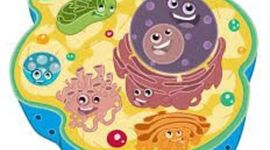 Timeline: EVOLUCION EN EL DESCUBRIMIENTO  DE LA CELULA