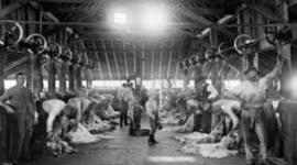 Timeline: Industrial Revolution - Australia