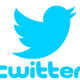 Twitter bird