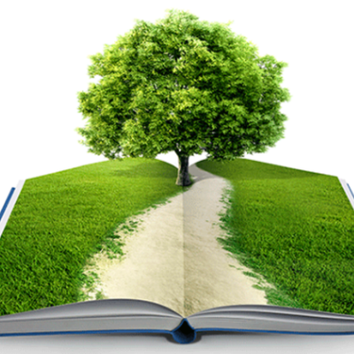 Timeline: Evolución de la Educación Ambiental