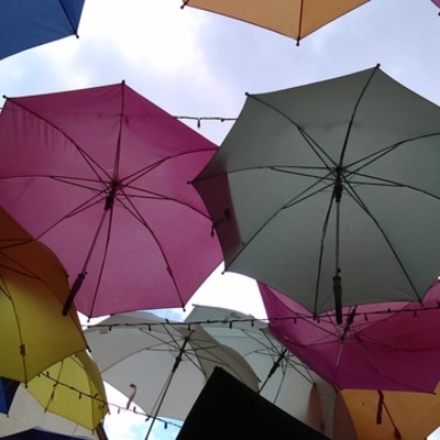 Timeline: Autobiografía