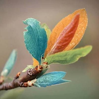 Timeline: Mi historia