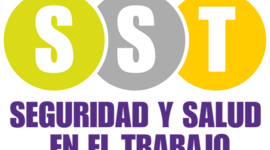 Timeline: linea de tiempo sst