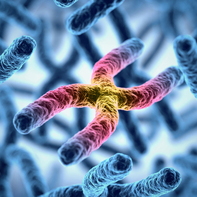 Timeline: HISTORIA DE LA BIOLOGÍA MOLECULAR
