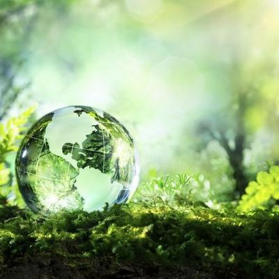 Timeline: Problemas ambientales UCP