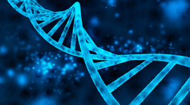 Timeline: Genetica904