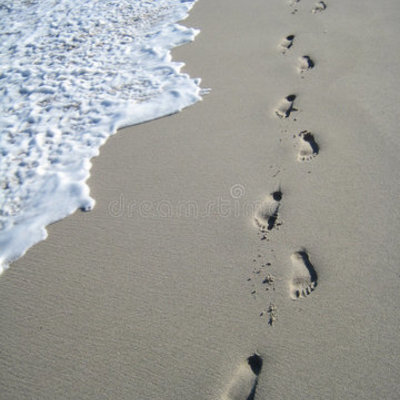 Timeline: PASOS EN LA HISTORIA