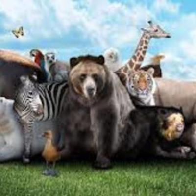 Timeline: Evolución de la cadena alimenticia en algunos seres vivos