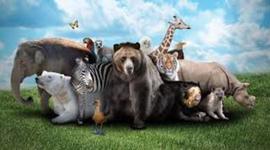 Timeline: Evolución de la cadena alimenticia en algunos seres vivos