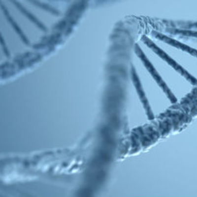 Timeline: Biologia Molecular