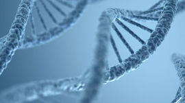 Timeline: Biologia Molecular