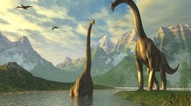 Timeline: Where My Carbon Came From