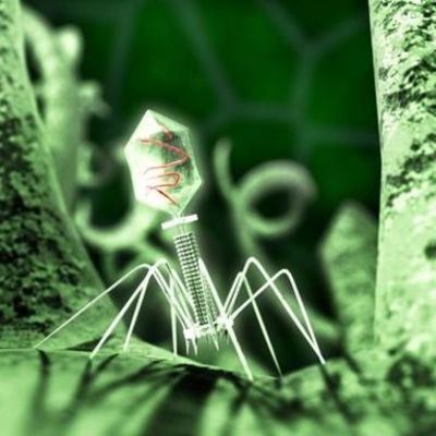 Timeline: Historia de la virología