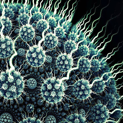 Timeline: HISTORIA DE LA VIROLOGÍA