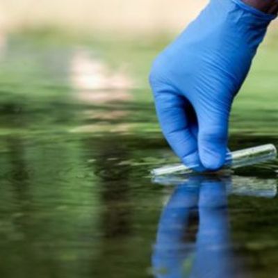 Timeline: Hitos de la Ecotoxicología