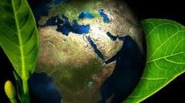 Timeline: Hitos de la toxicologia