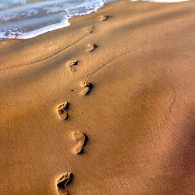 Timeline: pasos en la historia