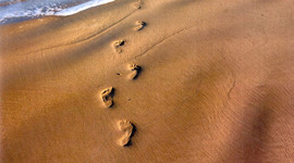 Timeline: pasos en la historia