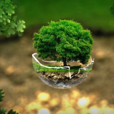 Timeline: Línea del tiempo de Ecología