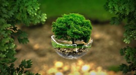 Timeline: Línea del tiempo de Ecología