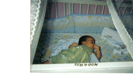 Timeline: Taniamarie