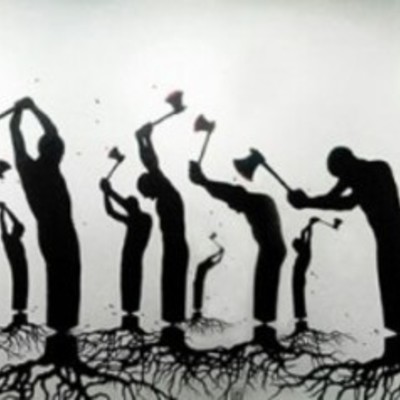 Timeline: Impacto de la soviedad en la naturaleza