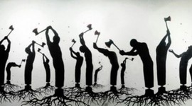 Timeline: Impacto de la soviedad en la naturaleza