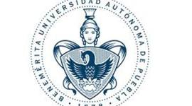 Timeline: Proceso y Trayectoria de Aplicación al Análisis de un Caso