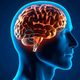 Cerebro