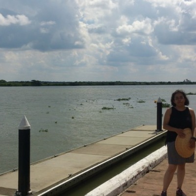 Timeline: Presentación Laura Ramon Vásquez