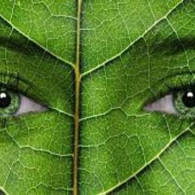 Timeline: HISTORIA DE ECOLOGIA