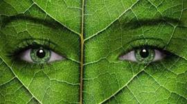 Timeline: HISTORIA DE ECOLOGIA