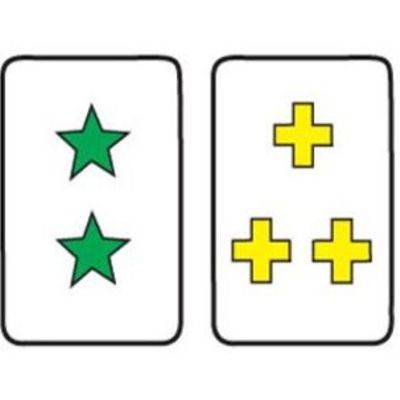 Timeline: Enfoques para el estudio de la sensopercepción