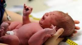 Timeline: cuando naci