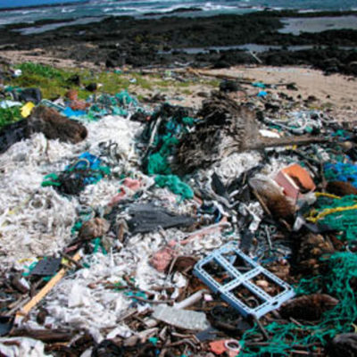 Timeline: Global Issues- Rubbish