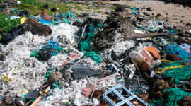 Timeline: Global Issues- Rubbish