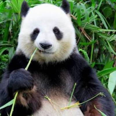 Timeline: Global Issues