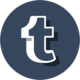 Tumblr icon