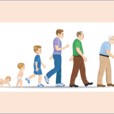 Timeline: AUTORES Y TEORÍAS DE LA PSICOLOGÍA DEL DESARROLLO