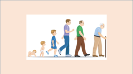 Timeline: AUTORES Y TEORÍAS DE LA PSICOLOGÍA DEL DESARROLLO