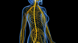 Timeline: Forensics TimeLine